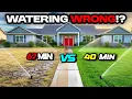 Download Lagu You’re Watering WRONG! (Here’s the Exact Minutes Your Grass Needs)