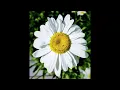 Klur - Entangled (Extended Mix)