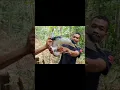 Download Lagu hunting burung kowak‼️