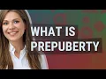 Prepuberty meaning of Prepuberty