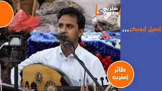 اصيل ابوبكر   طائر امغرب   عرس نشوان   دير الزين   لايف ستريم للانتاج التلفزيوني دندنها
