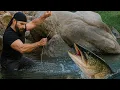 Download Lagu Rampe Uses Interesting Techniques to Catch Fish in Nature