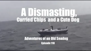 A Dismasting, Curried Chips and a Cute Dog  Adventures of an Old Seadog, ep110