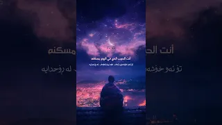 اني ذكرتك فاخضرت بساتيني احمد النفيس  اني ذكرتك فاخضرت بساتيني احمد النفيس