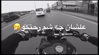مهرجان انا قلبي ابن الفتاكه حلات وتساب دندنها