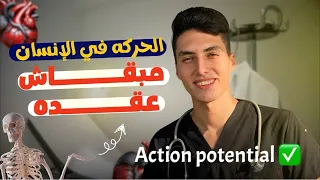 The Easiest Explanation And Simplification Of Human Movement Goodbye To The Complex 