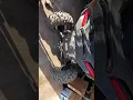2021 polaris rzr xp 1000 walk around I69 motorsports purchase