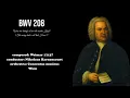 Download Lagu J.S. Bach - BWV 208 (The merry hunt is all that I love!)