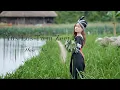 Lagu Yus Los Twm Zeej _by Hoa My| Nkauj Tawm tshiab