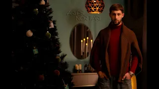 Art Arakelyan - ARI ES NOR TARI