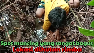 Download Lokasi mancing yang sangat bagus ditengah hutan rimba yang masih alami MP3