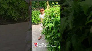 Duggu And Sameer Dugguandsameervideos Duggu Sameer Trending Viral Latesttrends Newreels 