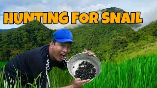 Download Snail Hunting | healthy snail recipe NAGAFLIX MP3