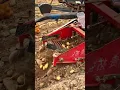 Lagu Panen kentang jauh lebih cepat menggunakan mesin canggih #shorts