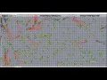 Simulation Predator Prey and Plants