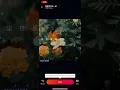 《我要和你在一起》谷娅溦 「爱上我的衰神」1 WeSing