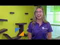 Business Spotlight Pet Suites