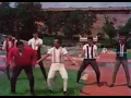 Pepas - DZ Thai Mix