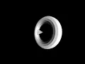 Software Rasterizer test 4 Flat Shading