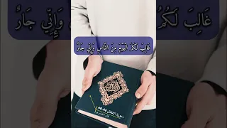 سورة الانفال الاية 46 48 