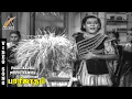 Download Lagu Paarijaadha Poovu Namma Video Song | Parijatham | T.R Mahalingam | M.V Rajamma | AKMusic