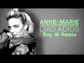 Lagu Anne-Marie - Ciao Adios | Roy M Dancehall Remix