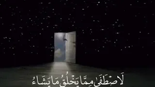 لو أراد أن يتخد ولدا علي جابر مقاطع دينية قصيرة قرآن كريم مع الترجمة 