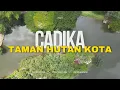 Download Lagu FULL VIDEO DRONE VIEW TAMAN HUTAN KOTA CADIKA | KOTA MEDAN| MEDAN JOHOR