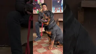 الله عليييك 