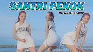 Download Ajeng DJ Gemoy - Santri Pekok (DJ Version)  | Remix Full Bass MP3