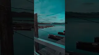 تريند تريند تيك توك تيك توك العيون أخضر عيون خضر بحر ستوريات ستوري عيون ستوري 