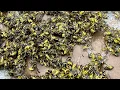 Aptive Environmental Fail Owner removes wasps with shop vac