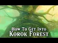 How To Get Into Korok Forest - Tears Of The Kingdom