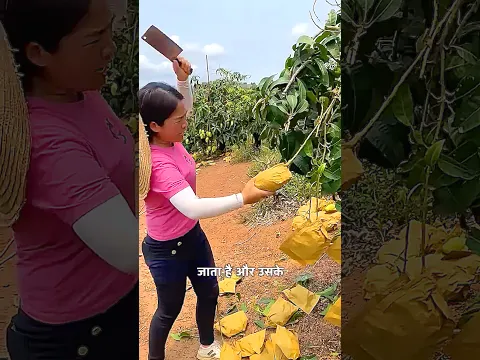 Secret of Chinese fruits. #chinese #shorts #fruits #shortvideo