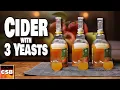 Wij testen 3 CIDER-gisten - DEZELFDE cider, zijn er verschillen?