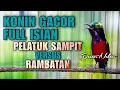 Lagu 🔵ROLL TEMBAK KONIN GACOR FULL ISIAN PELATUK SAMPIT VS RAMBATAN COCOK BUAT MASTERAN KOLIBRI PASTOL