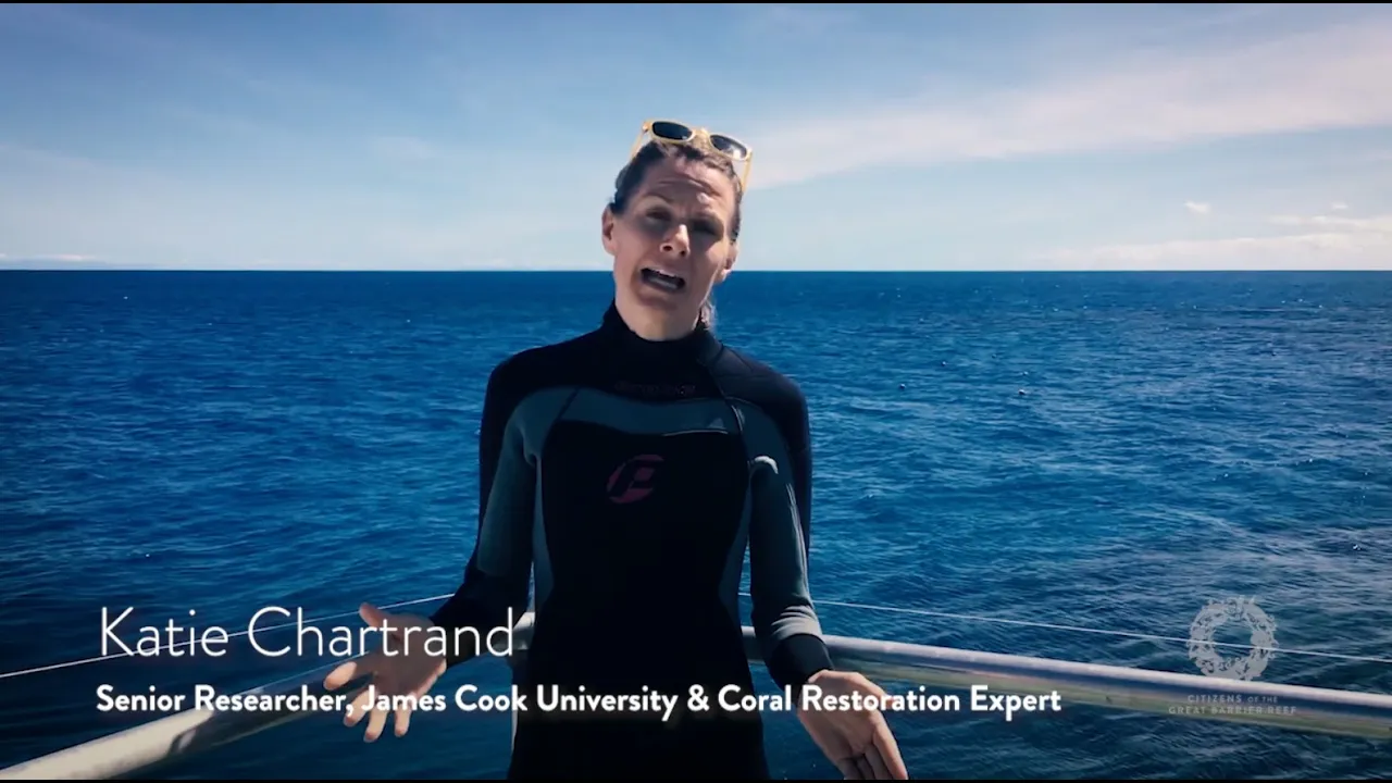 Coral Restoration Week: Ask the Expert w/Katie Chartrand, Senior Researcher at James Cook University