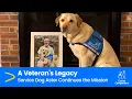 De nalatenschap van een veteraan: hulphond Aster zet de missie voort