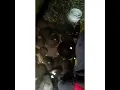 Download Lagu vidio viral baru baru ini di ake santosa kadaton kesultan ternate