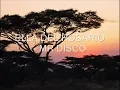 ELLA DEL ROSARIO MR DISCO