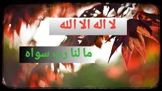 أنشودة لا اله الا الله ما لنا رب سواه صوت ملائكي أول مرة تسمعه في حياتك 