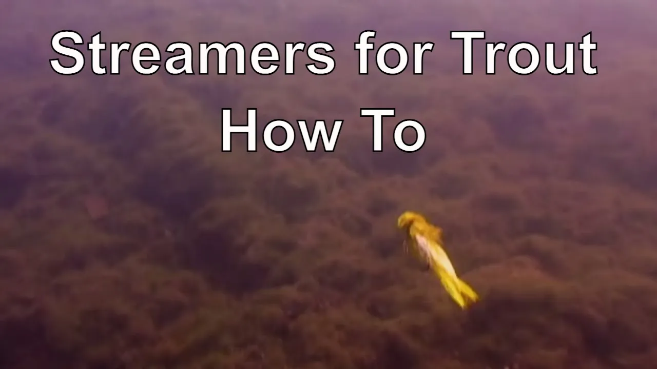 The Orvis Guide to Fly Fishing Streamers