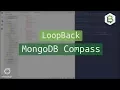 LoopBack io MongoDB Compass