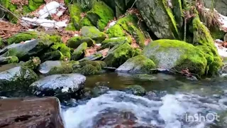 اجمل اغاني جميله قديم   اغنيه  مارا  مارا  وحيدة  للفنان  علي داود                      دندنها