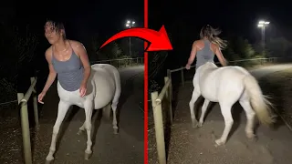 Real Encounters With Mythical Creatures You Won't Believe Existed!