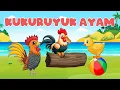 Download Lagu Lagu Anak Anak - Kukuruyuk - Ayam - Ayam Kukuruyuk - Kuku - Lagu Anak Indonesia