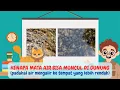Download Lagu KENAPA MATA AIR BISA MUNCUL DI GUNUNG (padahal air mengalir ke tempat yang lebih rendah) ❓❓❓