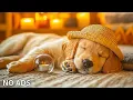 Download Lagu 12 HOURS Calming Dog Music For Dogs🐶Separation Anxiety Relief Music💖dog relaxation TV🎵 Healing Music