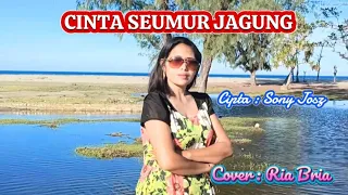 ria bria cover cinta seumur jagung cipta sony josz dangdut versi mandarin