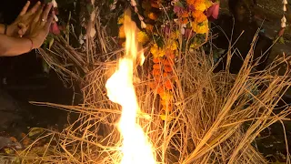 live kaul ali holi festival 2019